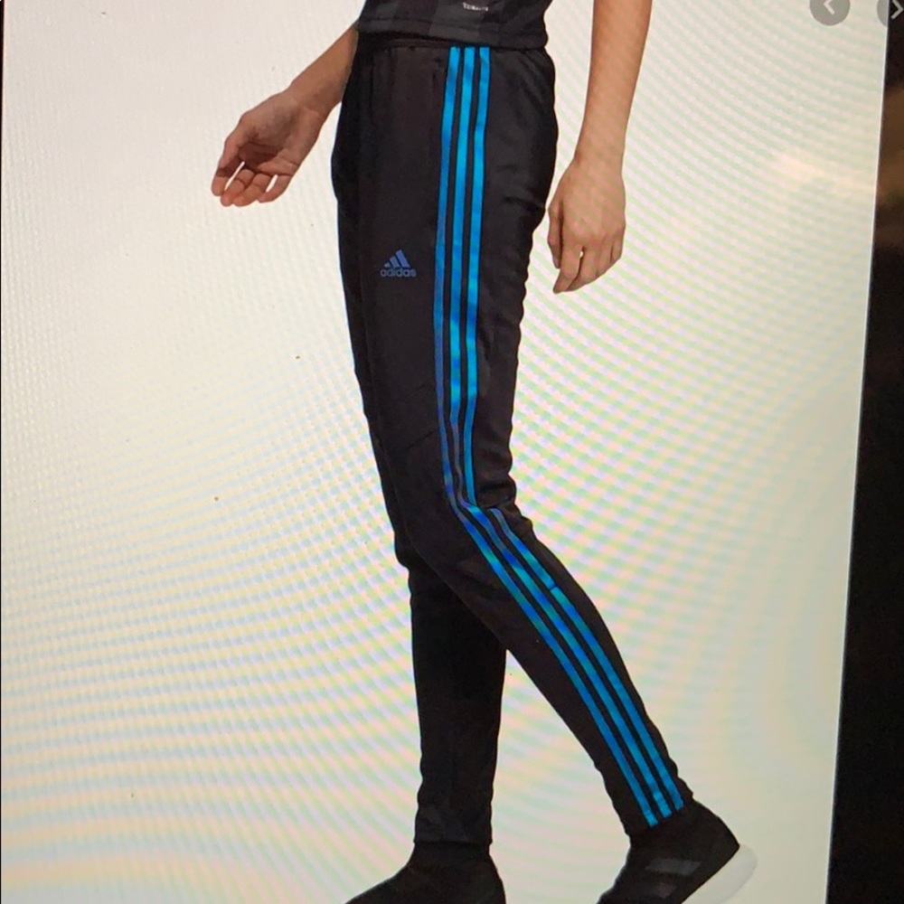 Adidas Pants
